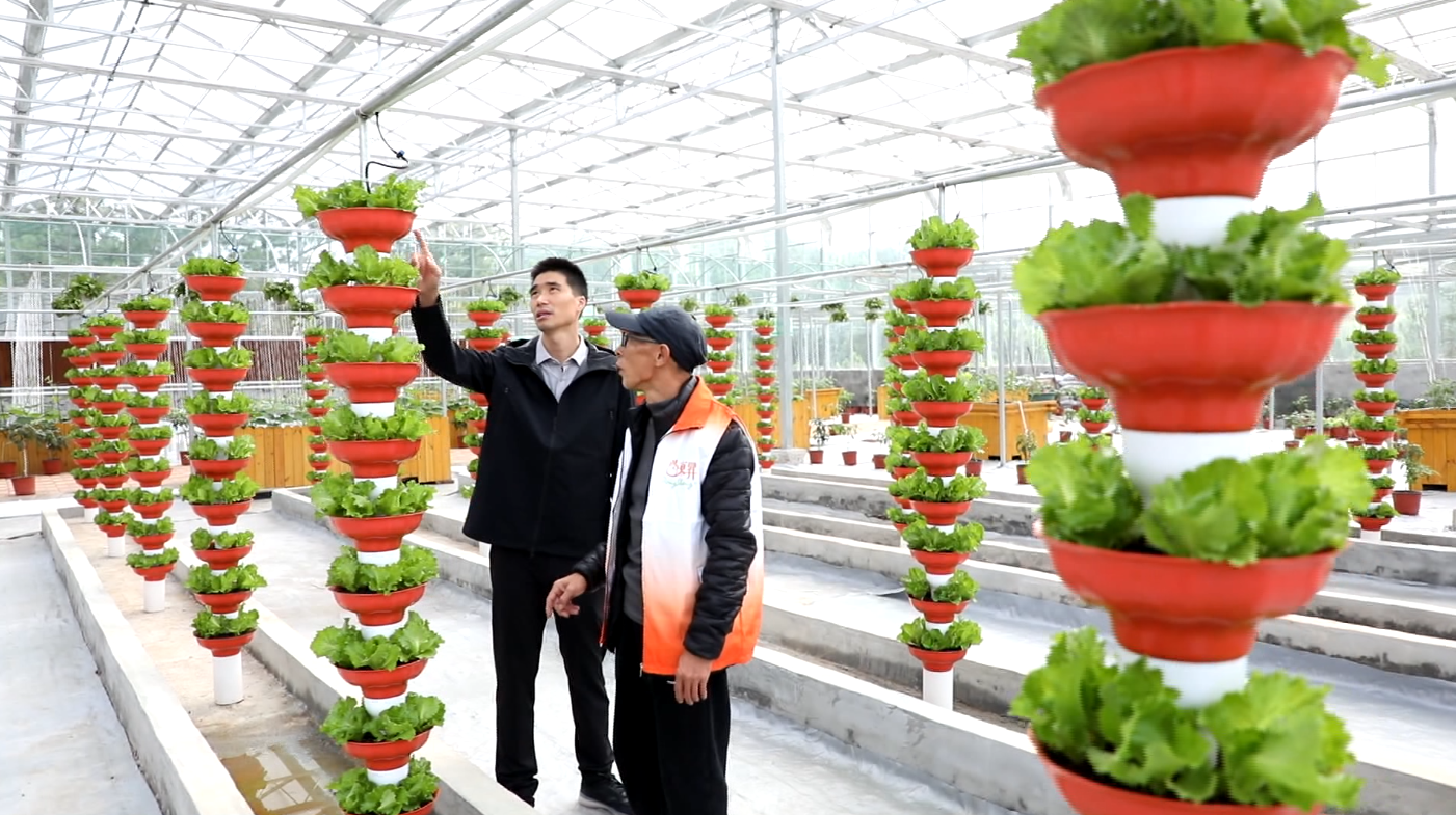 中国·永利皇宫54vip(中国)官方网站-登录入口